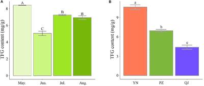 Temporospatial Flavonoids Metabolism Variation in Ginkgo biloba Leaves